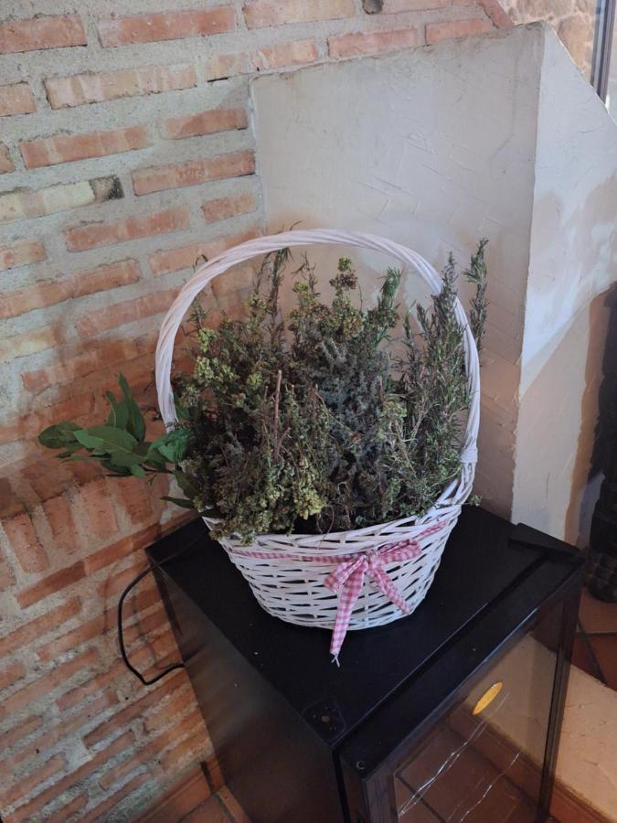 Hostal El Patio Restaurante San Bartolomé de Pinares Екстериор снимка