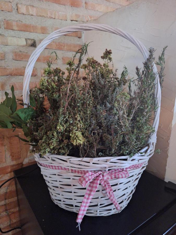 Hostal El Patio Restaurante San Bartolomé de Pinares Екстериор снимка